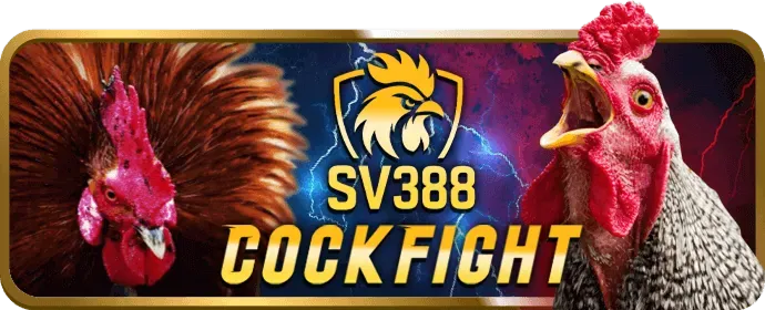 Rút tiền qua ví điện tử tại Viva88 Casino